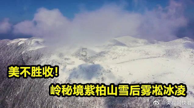 召唤神龙万宁版祖龙